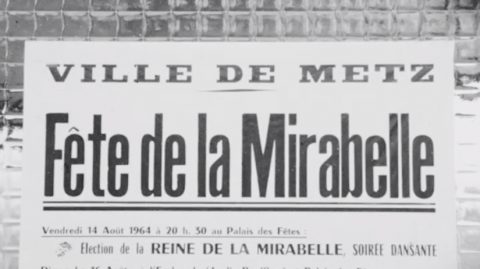 La fête de la mirabelle de Metz (57)